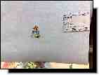 23062009315.jpg - 946,31 